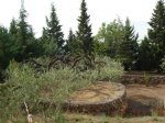 DSC01566.JPG