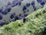 DSC04465.JPG