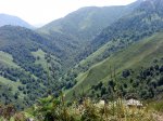 DSC04505.JPG