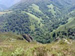DSC04506.JPG
