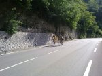 03072011192.jpg
