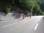 03072011189.jpg