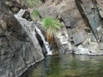 DSC08472.JPG