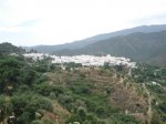 DSC08474.JPG