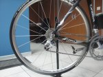 DSC01496.jpg