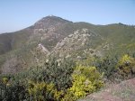 IMG_0037.JPG