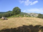 DSC02216.JPG