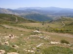 DSC02278.JPG