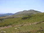 DSC02282.JPG