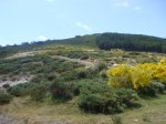 DSC02299.JPG