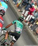 tdf11st04gc-gene.jpg