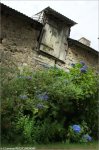 tdf11st04gc-flowers.jpg