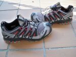 salomon2.jpg