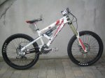 devinci.jpg