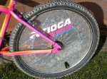 Tioga disk.JPG