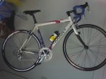 LAMPRE 1.jpg