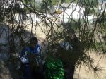 DSC07686.JPG