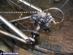 litespeed_ghisallo_5.jpg