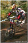 IMG_0399(foro).jpg