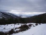 IMGP0194.JPG