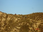 DSC03920_redimensionar.JPG