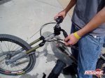pbpic1142055.jpg