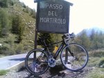 CERVELOGIRO06.JPG