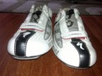 06072011120.jpg