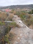 DSCN1226.jpg