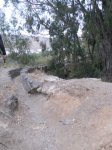 DSCN1229.jpg