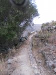 DSCN1222.jpg
