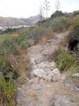 DSCN1225.jpg