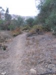 DSCN1231.jpg