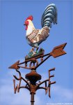 tdf11st05gc-cock.jpg