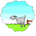 Contar%20ovejas.gif