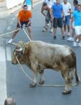 bou en corda.jpg