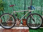 monstercross3.jpg