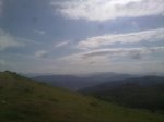 07072011867_800x600.jpg