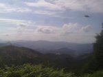 07072011869_800x600.jpg