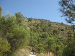 Photo11.JPG