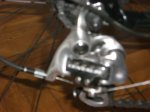 resized_CIMG3935.JPG