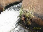 100_0767 1.JPG