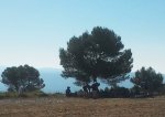 2011-07-09 09.43.13.jpg