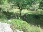 2011-07-09 10.25.14.jpg