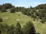 DSC01385.JPG