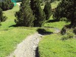 DSC01388.JPG