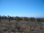 DSCN6659.JPG