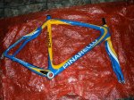 pinarello prince foto 3.JPG