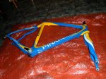 pinarello prince foto 4.JPG
