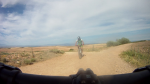 vlcsnap-2011-07-10-10h02m07s74.png